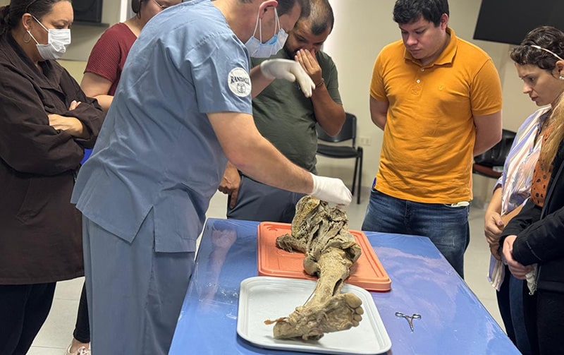 Sala Practica Academia Randall8-min